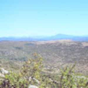 Meet your Posher, Marigold